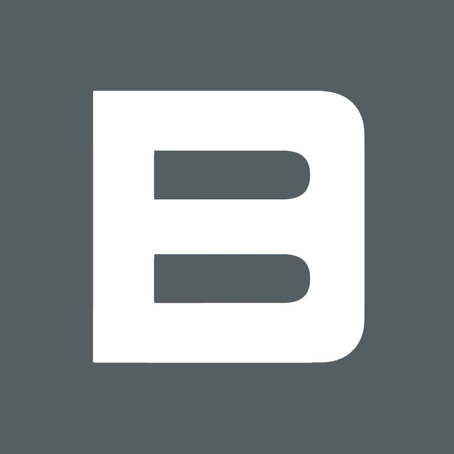 Bruckner Group logo